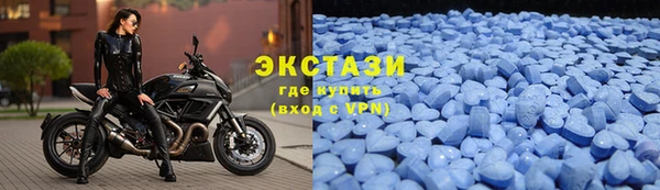 стаф Вязьма