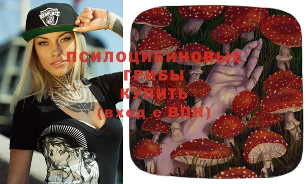 тгк Верхний Тагил