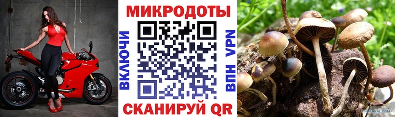 Галлюциногенные грибы Psilocybe Вяземский